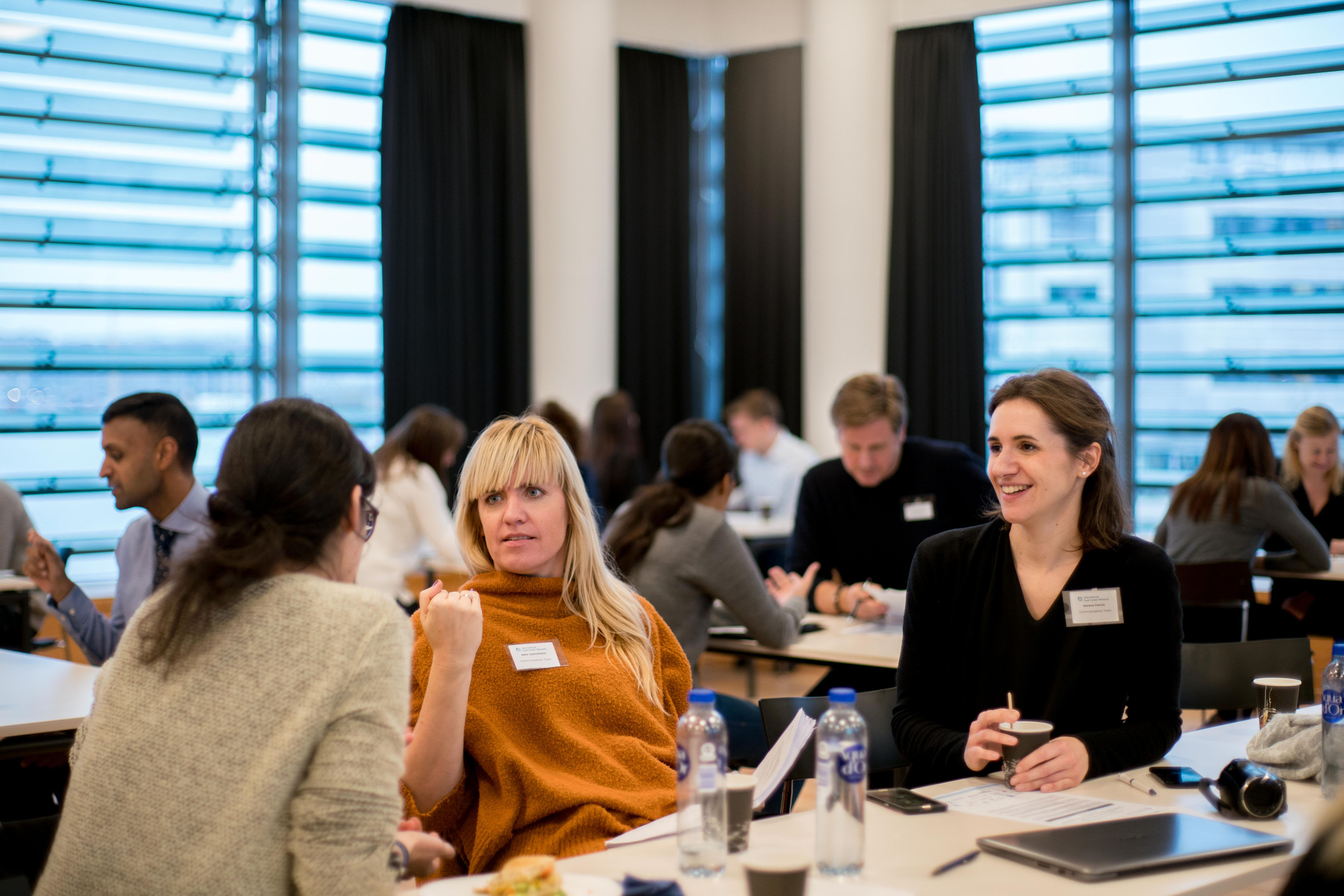 CROSS-CULTURAL COLLABORATION AND CULTURAL INTELLIGENCE (CQ)